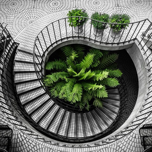 artistic-conception-689793_960_720[1]